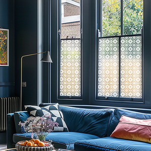 Albiolo Frosted Privacy Window Film by Creative Printing Solutions