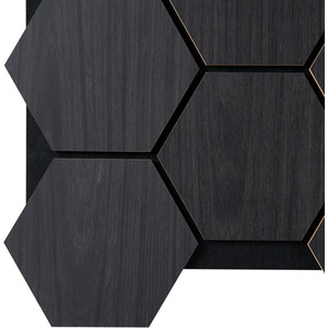 Fuse Acoustic Wooden Hexagon Wall Panel in Charcoal Oak - Charcoal by Fuse