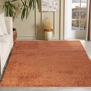 Desire Rugs Plain Living Room Fluffy Shaggy Area Rugs by Desire Rugs