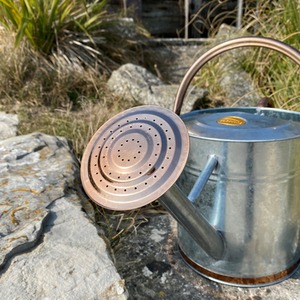 9 Litre Metal Watering Can with Rose - Silver by Selections