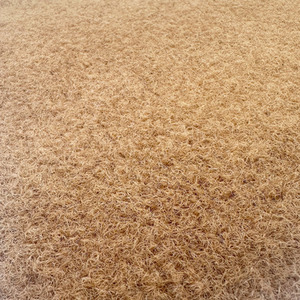 PVC Coir Non-Shed Kitchen Hallway Runner by Nicoman