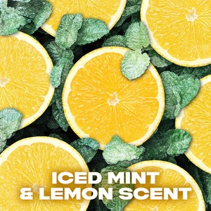 Lynx XXL 72-Hour Sweat Protection Anti-Perspirant Deodorant, 3 or 6 Pack, 250ml - Blue / 6cm by Lynx