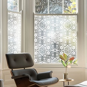 Albinea Frosted Privacy Window Film by Creative Printing Solutions