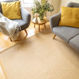 Natural Beige Cotton Border Jute Area Rug by The Rug House