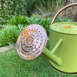 9 Litre Metal Watering Can with Rose - Sage by Selections