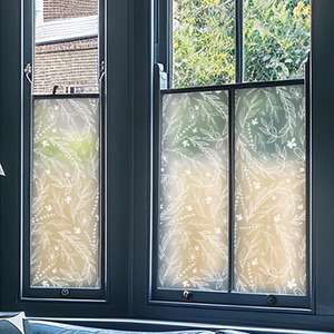 Agliana Frosted Privacy Window Film by Creative Printing Solutions