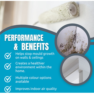 Smartseal Anti-Mould Paint - Devon Cream / 5l by Smartseal UK Ltd