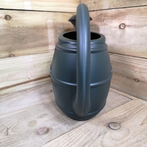 5L Ward Garden Watering Can with Rose - Green - Green by Samuel Alexander