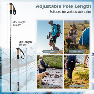 2 Pcs Collapsible Walking Stick - Silver by Costway