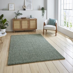 Green Washable Solid Shaggy Rug - Green / 160x230cm by The Rug Wholesaler
