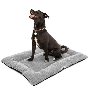 Modern Cozy Dog Bed by DogCratesPlus