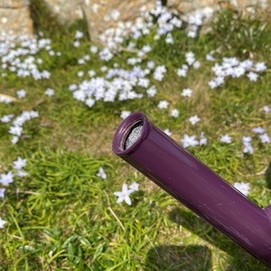 9 Litre Metal Watering Can with Rose - Heather by Selections