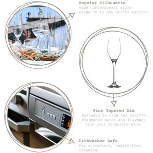 Ella Glass Champagne Flutes - 230ml - Pack of 6 - Clear by LAV
