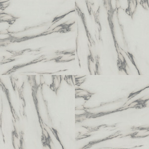 Floor Tile Carrara Marble 30.5x30.5cm Mono 10 Tiles Per Pack - Black,White by Arthouse