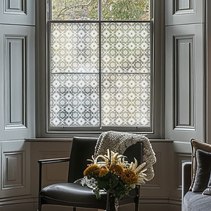 Albiolo Frosted Privacy Window Film by Creative Printing Solutions