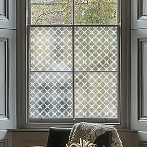 Airasca Frosted Window Film by Creative Printing Solutions