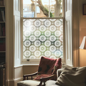 Agugliaro Frosted Privacy Window Film by Creative Printing Solutions