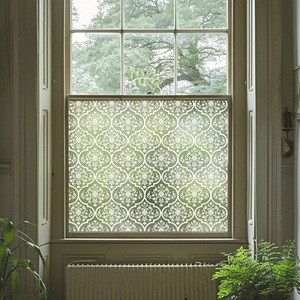 Acuto Frosted Privacy Window Film. by Creative Printing Solutions