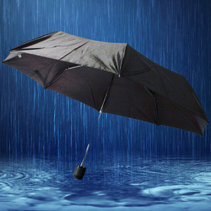 Compact Folding Umbrella - Black / 1 by Prima