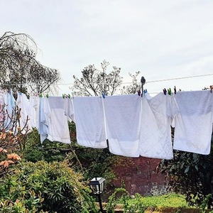 Strata Medium Duty Pulley Clothesline Kit - Blue by Strata by Ben-Mor