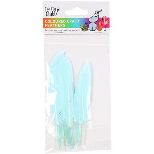 Coloured Crafting Feathers by Crafty Club