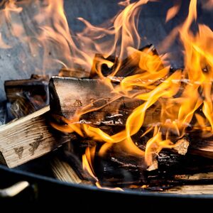 Laeto Firewood Depot Kiln Dried Mixed Hardwood Logs Box - Neutral by Laeto