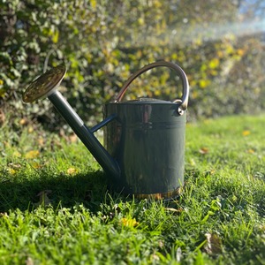 9 Litre Metal Watering Can with Rose - Grey by Selections