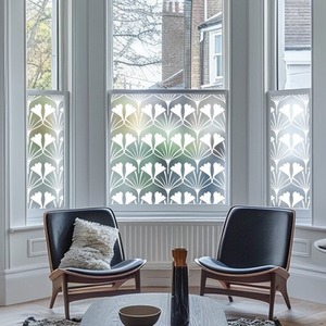 Aggius Privacy Frosted Window Film. by Creative Printing Solutions