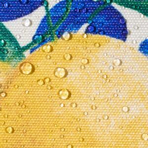 Pack Of Outdoor Lemon Filled Cushions by OHS