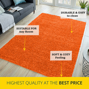 Abaseen Orange Shaggy Rug Rectangular Soft Touch Thick Pile - Orange / 110cm by Abaseen