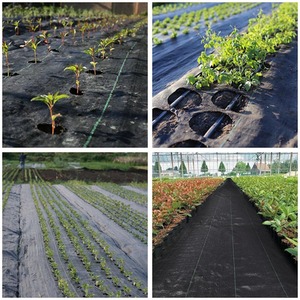 Heavy Duty Weed Control Barrier Fabric 100gsm