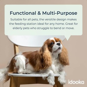 2 Adjustable Large Raised Stainless Steel Dog Bowls - Chrome by idooka