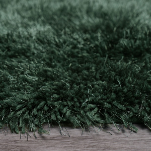 Shaggy Fluffy Glitter 5cm Pile Rug by Sienna