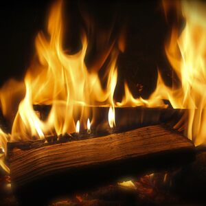 Laeto Firewood Depot Kiln Dried Mixed Hardwood Logs Box - Neutral by Laeto