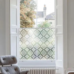 Agnosine Privacy Frosted Window Film by Creative Printing Solutions