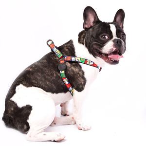Snoopy Joe Cool Training Harness L - Multicoloured by Snoopy