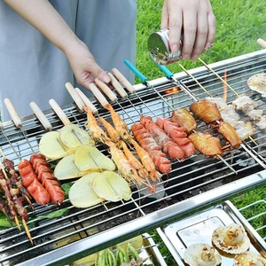 Foldable Garden Camping BBQ - Silver