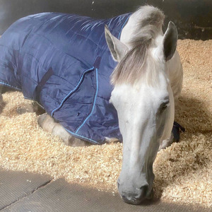 Large Bale Wood Shavings Animal Bedding - Beige / 20kg by Warma