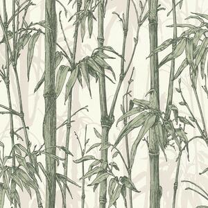 Bamboo Wallpaper Jungle Textured Vinyl - Green by Rasch