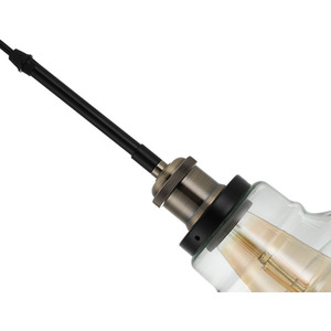 Creative Brass Glass Chandelier Pendant Light - Black by Livingandhome