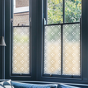 Aglie Frosted Privacy Window Film by Creative Printing Solutions