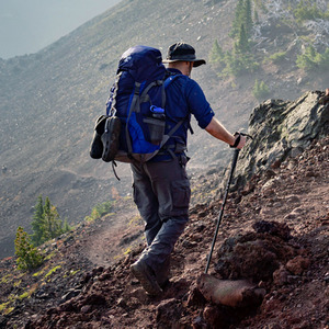 Adjustable Hiking Trekking Pole - Black by Costway