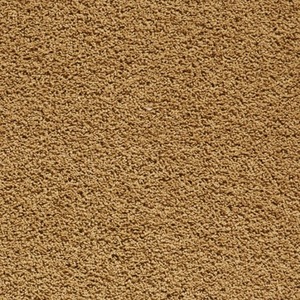 Washable Gold Polyester Shaggy Rug - Gold / 160x230cm by The Rug Wholesaler