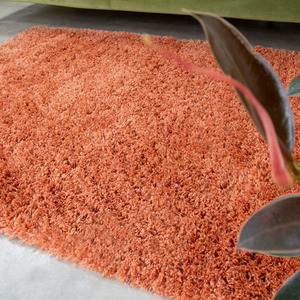 Super Soft Terracotta Orange Shaggy Living Area Rug by The Rug House