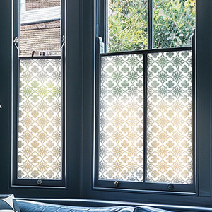 Ailoche Frosted Window Film by Creative Printing Solutions