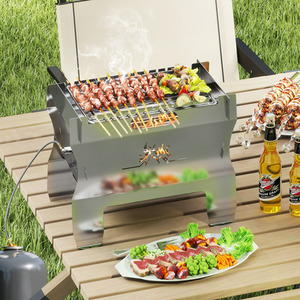 2-in-1 Camping Grill by Costway