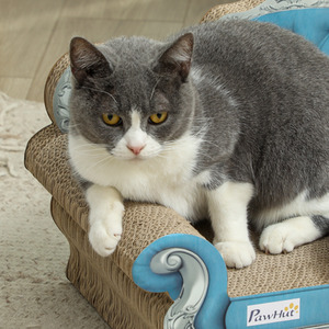 PawHut 2 in 1 Cardboard Cat Scratcher - Blue by PawHut