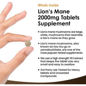 Lions Mane Mushroom 2000mg - Brown by NEW LEAF PRODUCTS