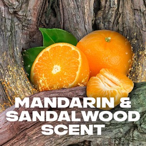 Lynx XL 48-Hour Odour Protection Body Spray Deodorant, 3 or 6 Pack, 200ml - Green / 6 by Lynx