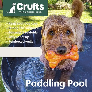 Crufts Paddling Pool 80cm - Blue by Crufts